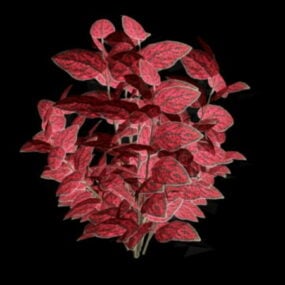 붉은 잎 식물 3d 모델