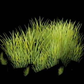 Green Grass 3d model