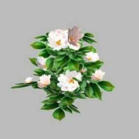 白い椿の花3Dモデル