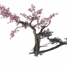 Gammel blommetræ 3d-model