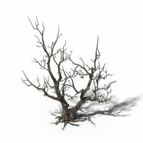 โมเดล 3 มิติความละเอียดสูง Dead Tree