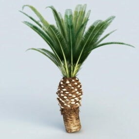 Koningin Sago Palm 3D-model