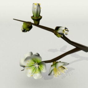 Model 3d Bunga Plum animasi