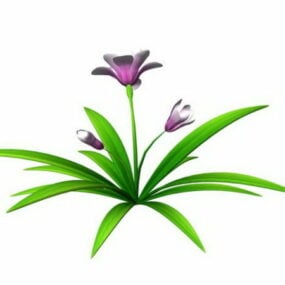 Chinese Cymbidium Orchids 3d-model