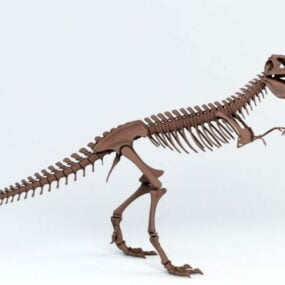 Esqueleto T-rex modelo 3d