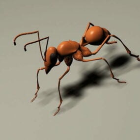 Modelo 3d da formiga vermelha