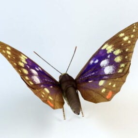 Yellow Butterfly 3d model