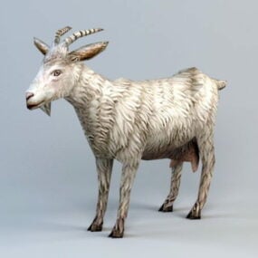 Low Poly Goat 3d-modell