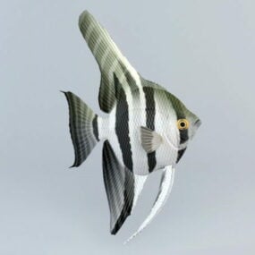 Mô hình 3d cá thần tiên nước ngọt