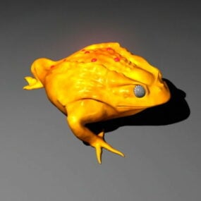 Modello 3d della rana rospo da giardino