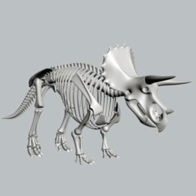 Plataforma de esqueleto de Triceratops modelo 3d