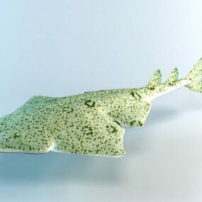 天使鲨鱼3d模型