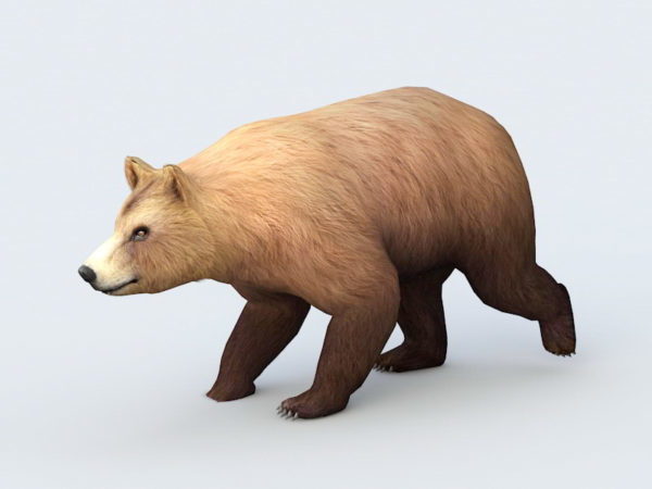 Bear Walking Animation Free 3d Model - .Fbx, .Max - Open3dModel