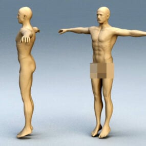 Modello 3d del corpo dell'uomo adulto