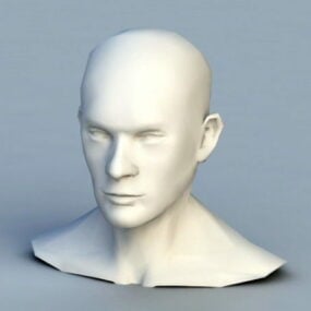 Modelo 3D de malha de base de busto de homem