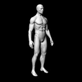 Full Male Body 3d model