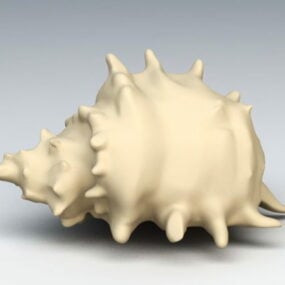 Wulk Shell 3D-model