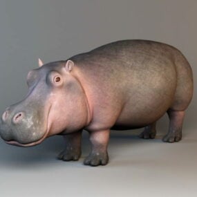 Nijlpaard Amphibius Rig 3D-model
