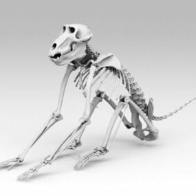Pavian-Skelett 3D-Modell