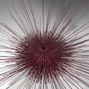 דגם תלת מימד של Sea Urchin