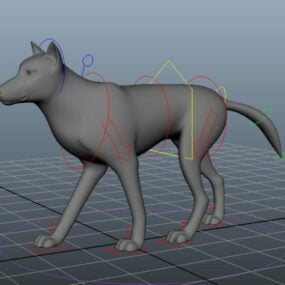 Modello 3d animato di Wolf Rig