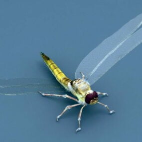 Modelo 3d de insectos libélula