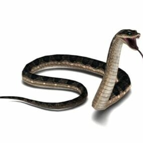 Animovaný 3D model útočícího hada