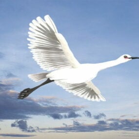 3D model ptáka Egret