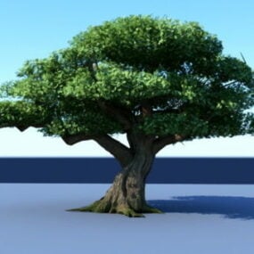 3D-model van de grote boom
