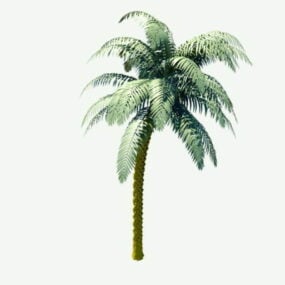 3д модель пальмы