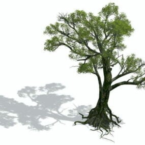 3d модель старого дерева