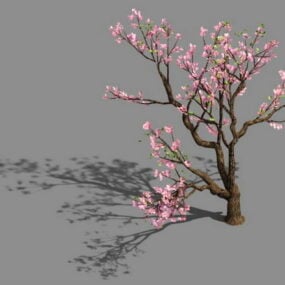 Model 3D różowego kwitnącego drzewa brzoskwiniowego