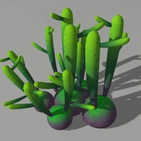 Euphorbia Oncoclada 3d-modell