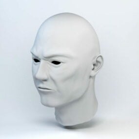 Männliches Kopfbasisnetz 3D-Modell