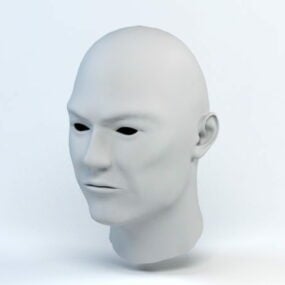 Männliches Kopfbasisnetz 3D-Modell
