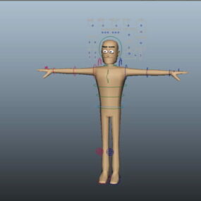Basic Person Rig 3d model