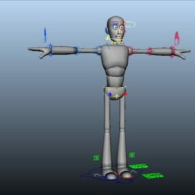 Person Base Male Rig 3d-modell