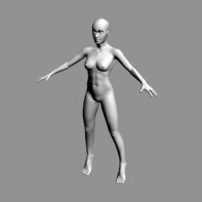 Жіноче тіло Base 3d модель