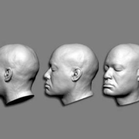 Modelo 3d de cabeça de homem