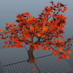 Červený javor 3D model
