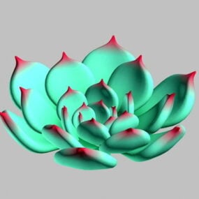 Model 3D Gratis Echeveria Chihuahuaensis