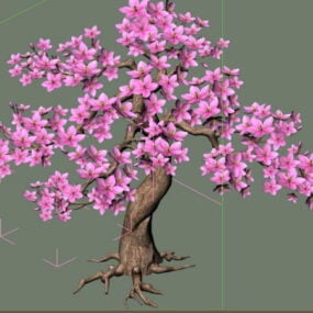 开花的桃树3d模型