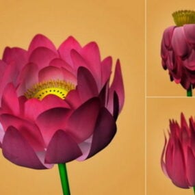 Modello 3d del fiore di loto egiziano
