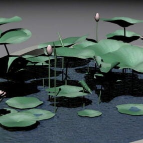 Water Lily Pond 3d model