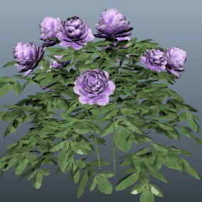 3д модель фиолетовой китайской розы