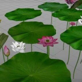 Lotusblommor och gröna blad 3d-modell