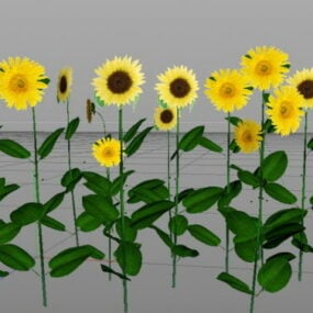 Model 3D rośliny słonecznika