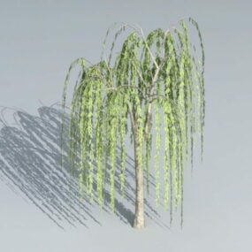 Small Willow Tree 3d model