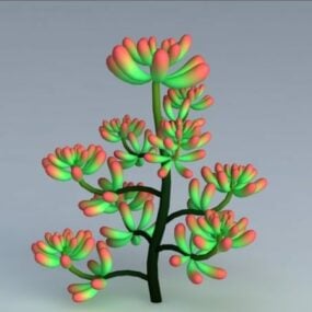 Modello 3d della pianta di Sedum Pachyphyllum