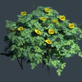 Yellow Flower Bush Plant 3d model